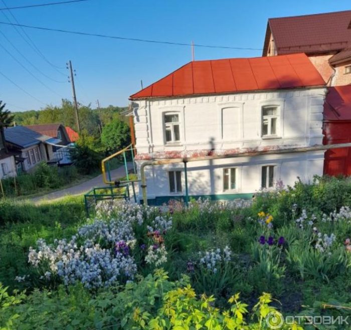 Ириси в дачата