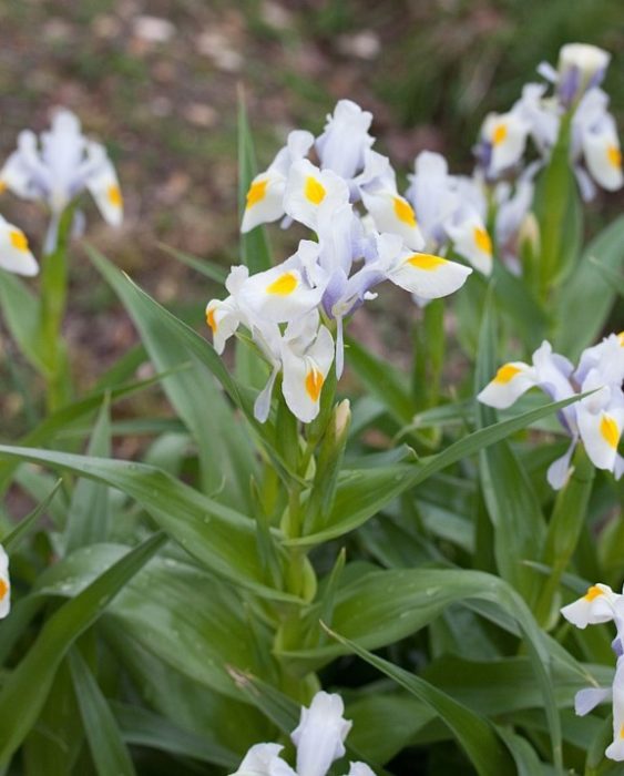 Гледката е великолепна