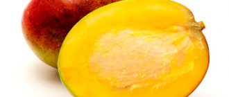 Снимка на манго с костилка