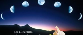 Зависимостта на реколтата от чесън от Луната