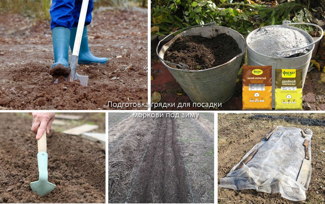 Как да подготвим легло за моркови? Подготовка на градинското легло