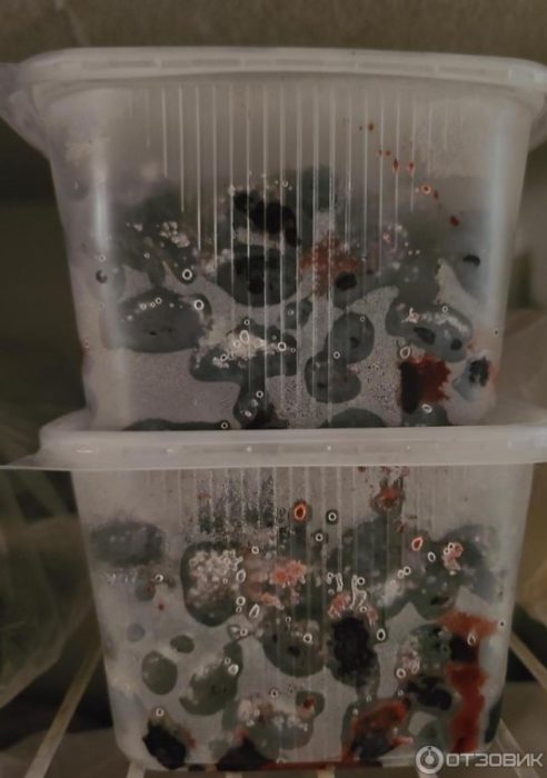 Замразяване в контейнер