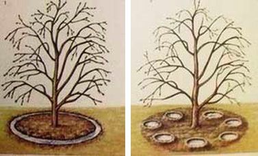 Методи за изкопи и дупки Методи за прилагане на торове