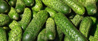 Краставици