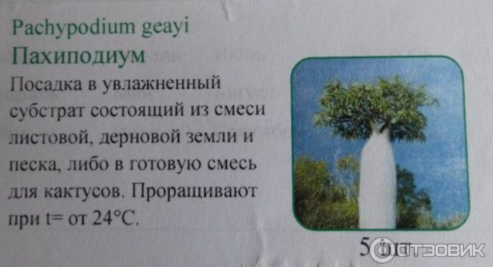 Описание на сукулента