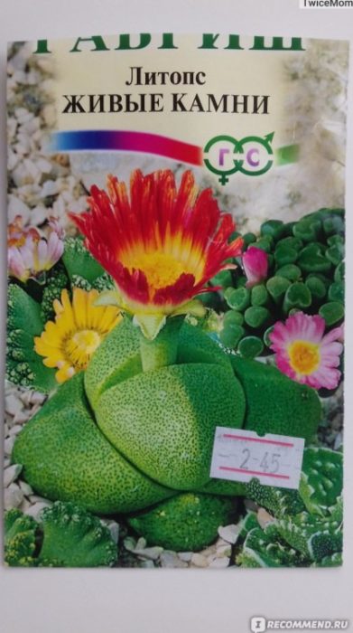 Семена от литопс