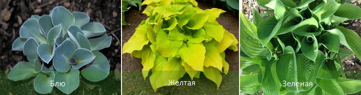 Υπάρχουσες κλάσεις υποδοχής Διοργανώστε μαθήματα