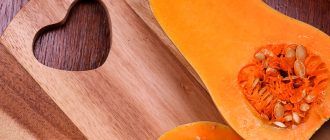 Снимка на перла от индийско орехче