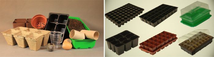 Контейнери за разсад