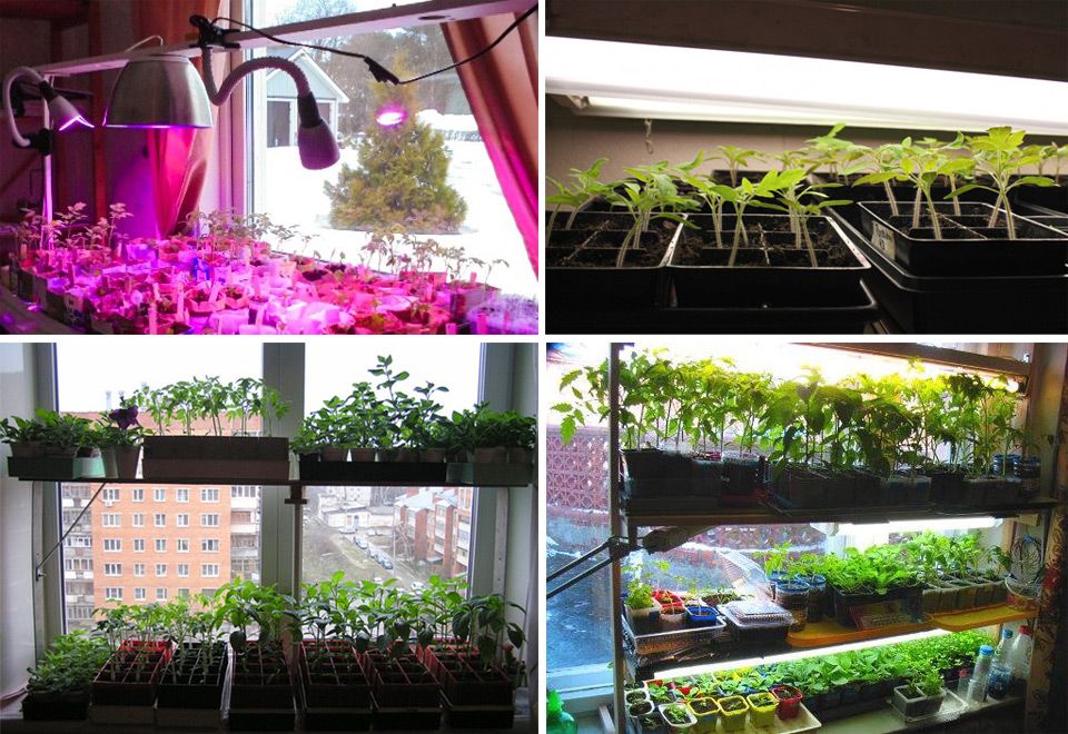 Подсветка за разсад