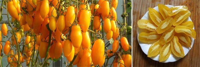 Сорт бананови крака