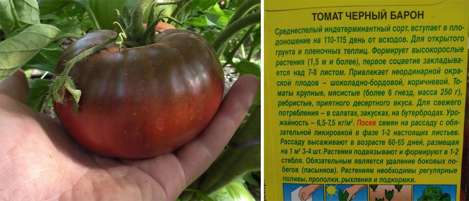 Домат Черен барон