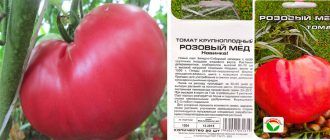 Розов меден домат