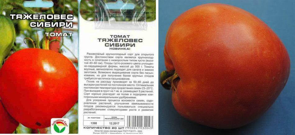 Сибирски тежък сорт