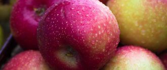 Ябълки
