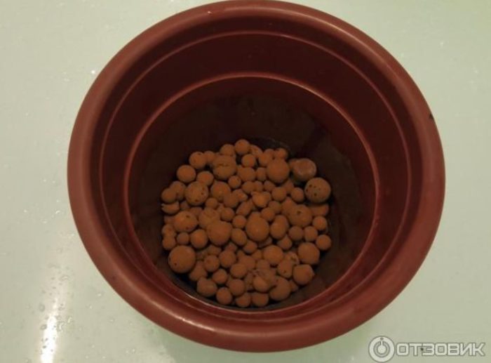 Дренаж на дъното на саксията