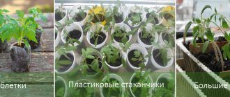 Методи за отглеждане без бране