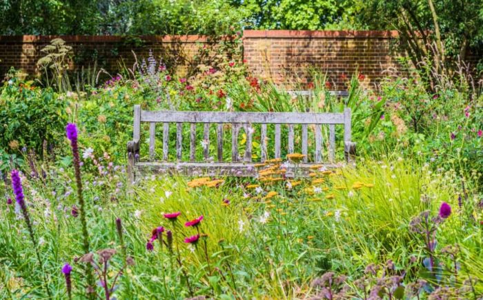 Αγριολούλουδα στο τοπίο Αγριολούλουδα στη ντάτσα