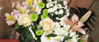 Цветя за букети