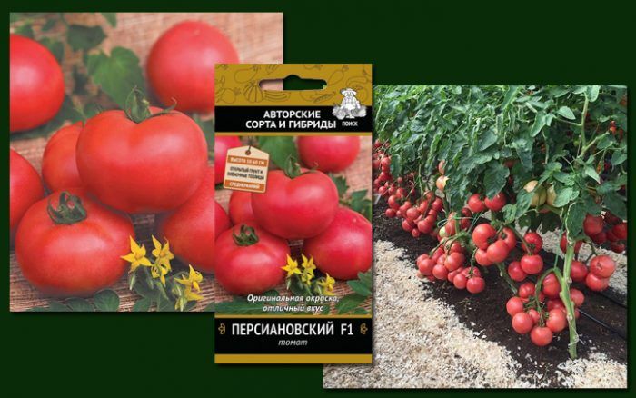 Персиановски сорт