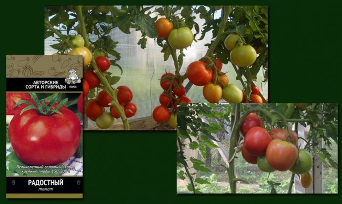 Сорт Радостни