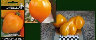 Разнообразие от сърце