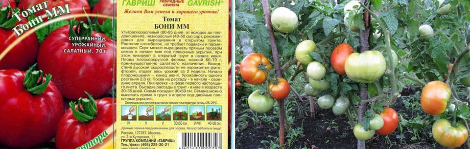 Домат Бони ММ