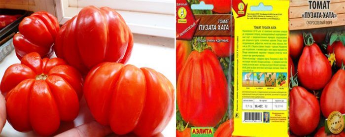 Ντομάτα Πουζάτα Κάτα