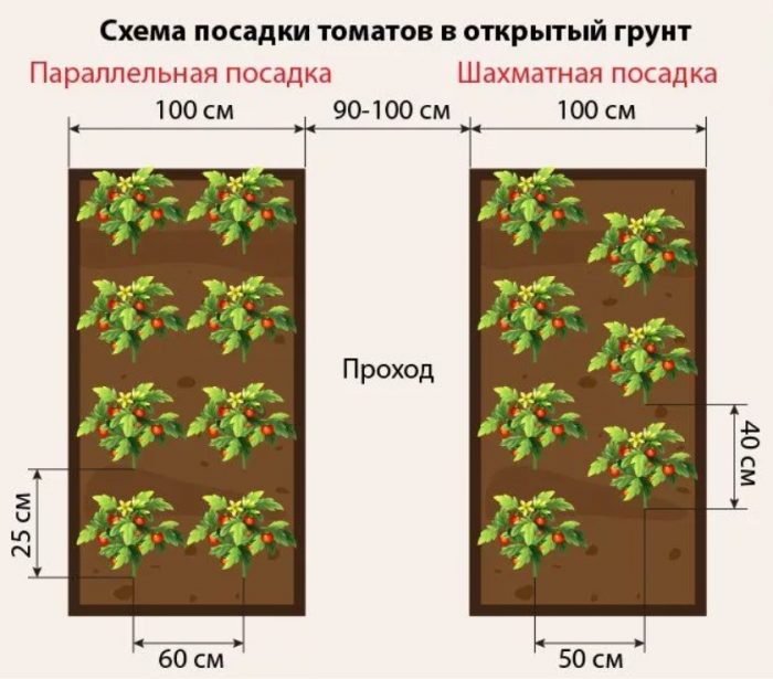 Модел на засаждане на домати
