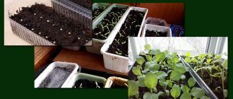 Традиционният начин