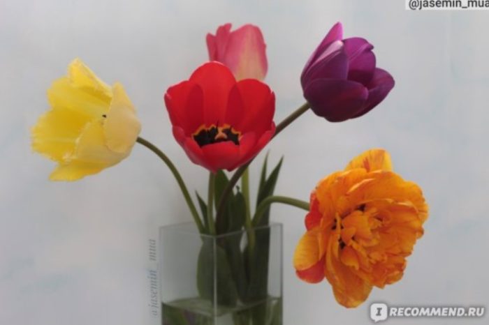 Букет от лалета