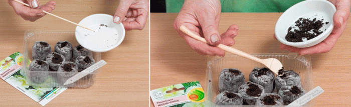 Засяване на калифорнийски макови семена