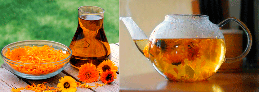 Ползи от невен