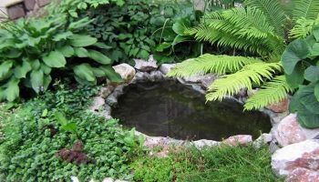 Езерце за лятна къща