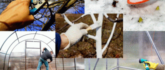 Пролетна работа в дачата