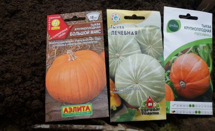 Сортове тикви