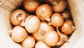 Комплекти лук