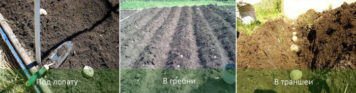 Методи на засаждане