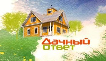 Лого на Dacha Answer