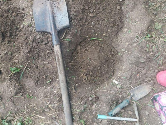 Хълок Покрит хълм