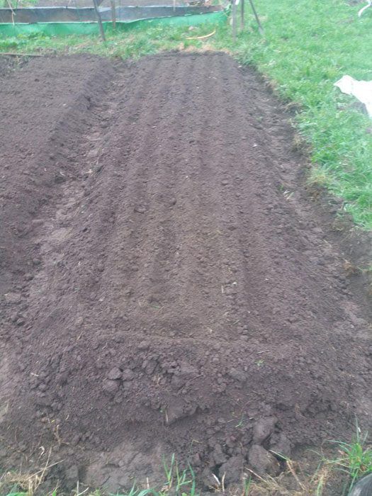 Градинското легло е готово