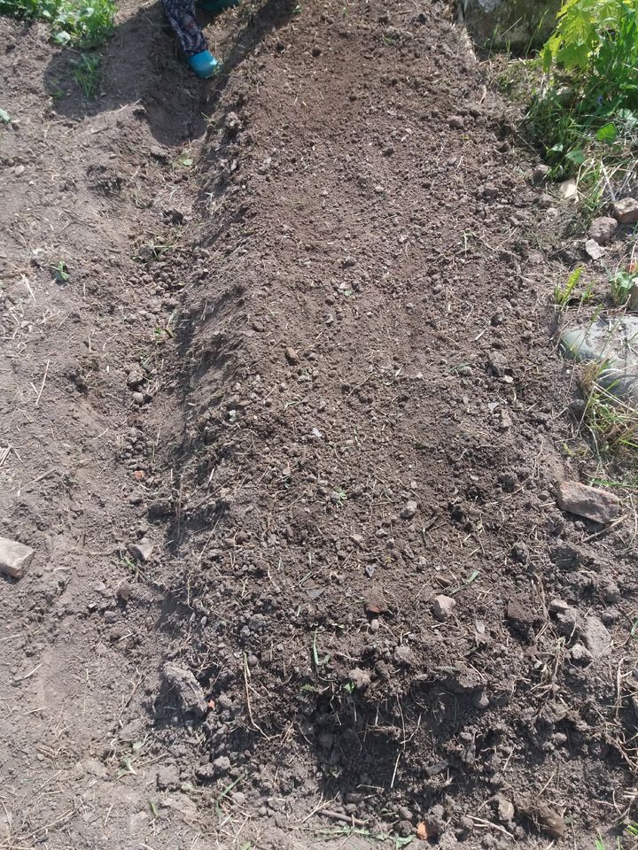 Последният хребет Легло с тиква