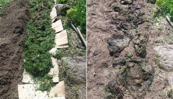 Топло легло