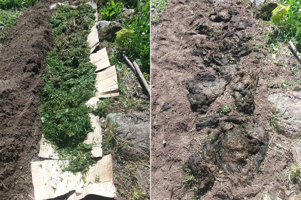 Легло с тиква Топло легло