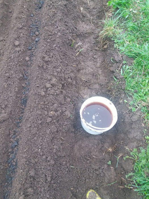 Разтвор на калиев перманганат