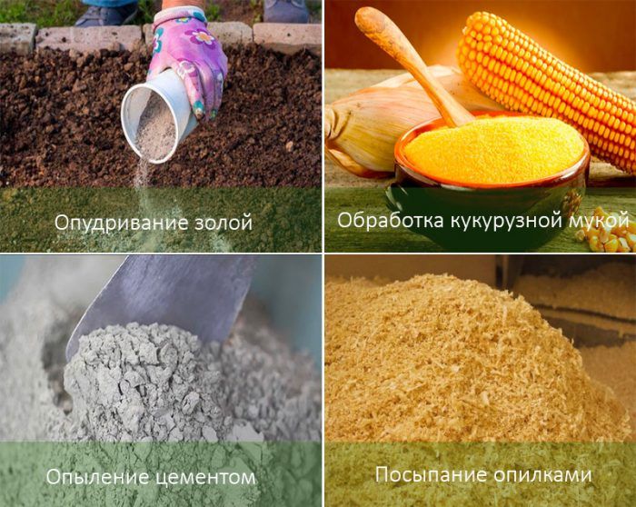 Μέθοδοι καταπολέμησης του σκαθαριού της πατάτας του Κολοράντο