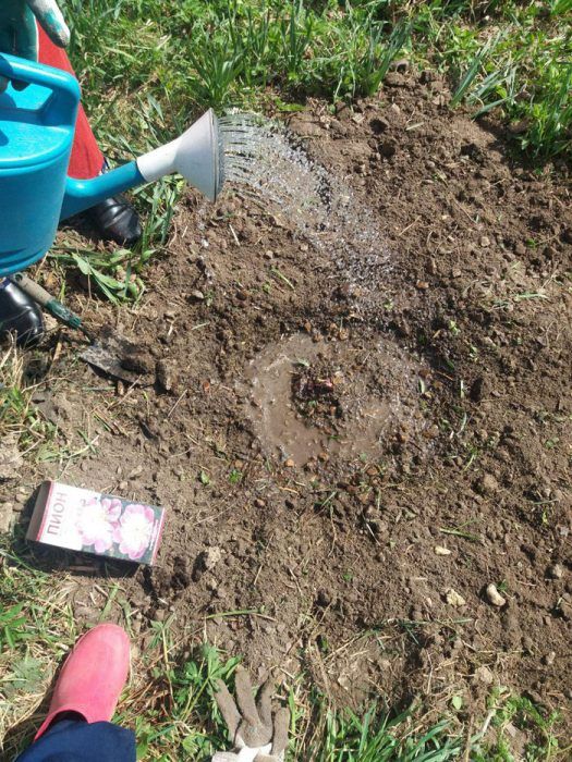 Разлято Лейка с вода