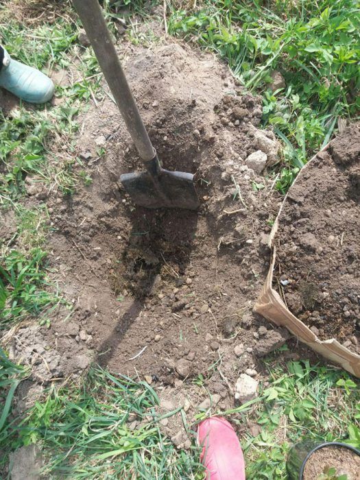 Копаем дупка