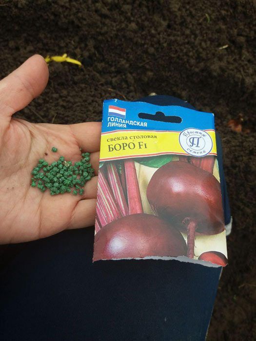 Семена от цвекло