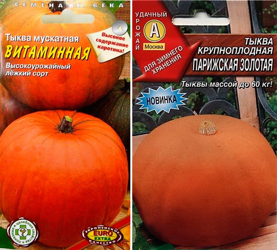 Едроплодни тикви Тиквени семки